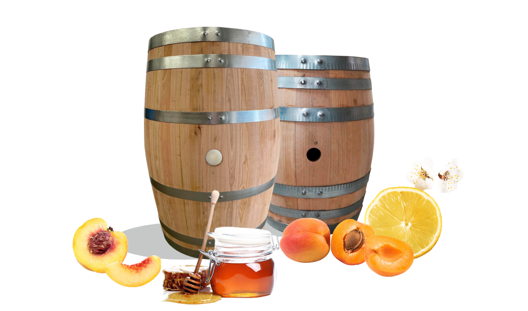 Barris.pt - Port Casks | Barris de Madeira